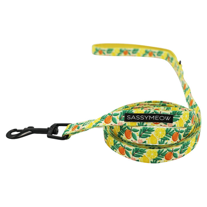Brighten up your walks with the Sassy Woof Cat Bundle - Zest Friends: a yellow leash with cheerful oranges, lemons, and green leaves. Finished with a black metal clasp and Sassy Woof label—perfect for your cat's favorite harness or collar.