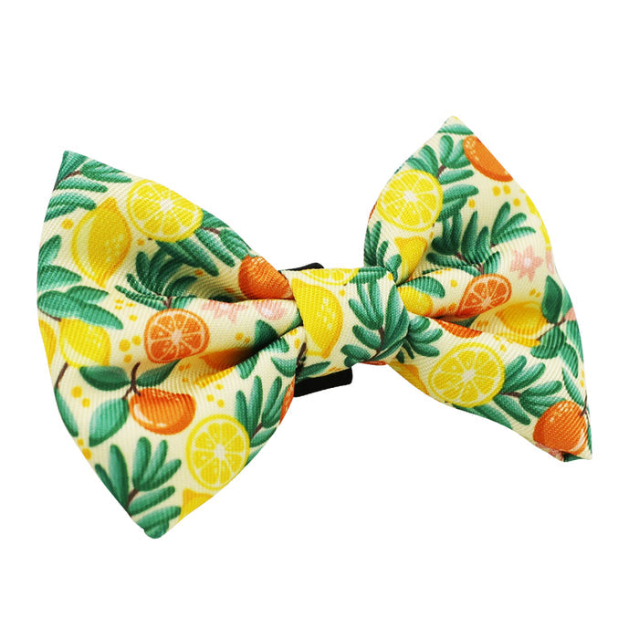 The Sassy Woof Cat Bundle - Zest Friends features a colorful bow tie with oranges, lemons, and green leaves on a light background—ideal for adding a playful touch to your cat’s collar.