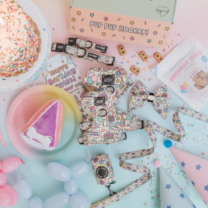 Colorful flat lay of Sassy Woof dog birthday party supplies, featuring party hats, bow ties, a harness, leash, balloon animals, treats, a “Happy Birthday Cutie Pup” card, and the Dog Toy - Barkday Cake.