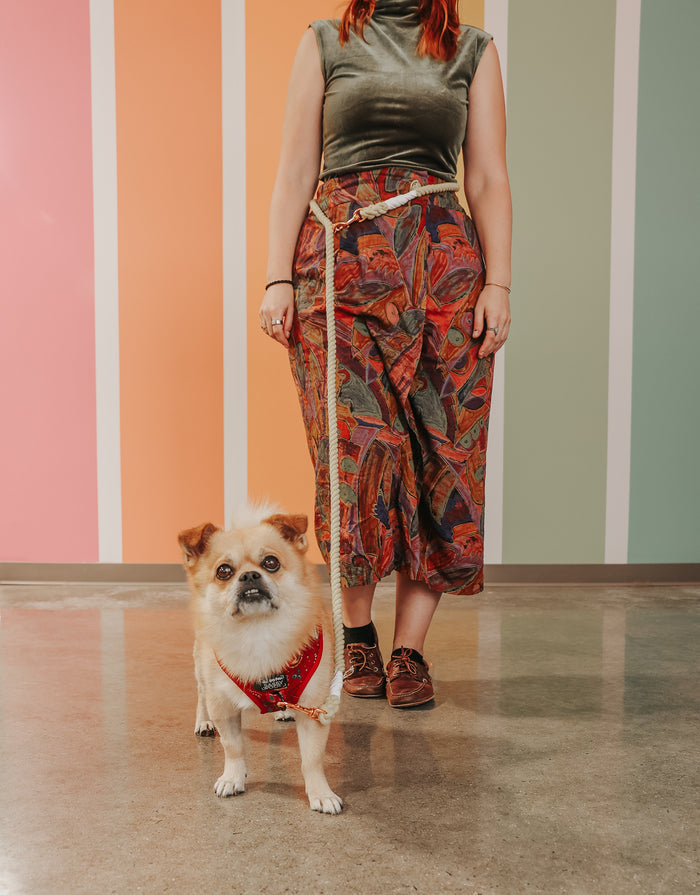 A small dog in a red bandana stands on a shiny floor, leashed with a hand-crafted dog leash to a person wearing a green top and patterned pants. The background features pastel vertical stripes.